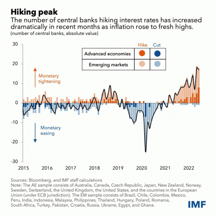 Fig #1 - Central Banks - Hiking Peak - Source: Bloomberg and IMF staff calculations