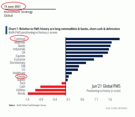WaveTrack International's Commodities Video Fig #6 - Global Fund Manager Survey June 2021 - Source: BofA