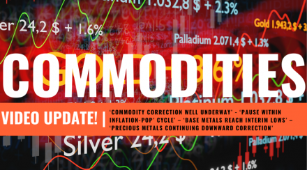 Commodities Mid-Year Video Update!