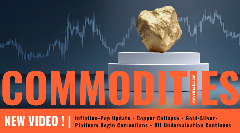 WaveTrack's Commdoties Video Outlook 2026