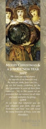 Merry Christmas and Happy New Year 2019 to all of you by WaveTrack International!